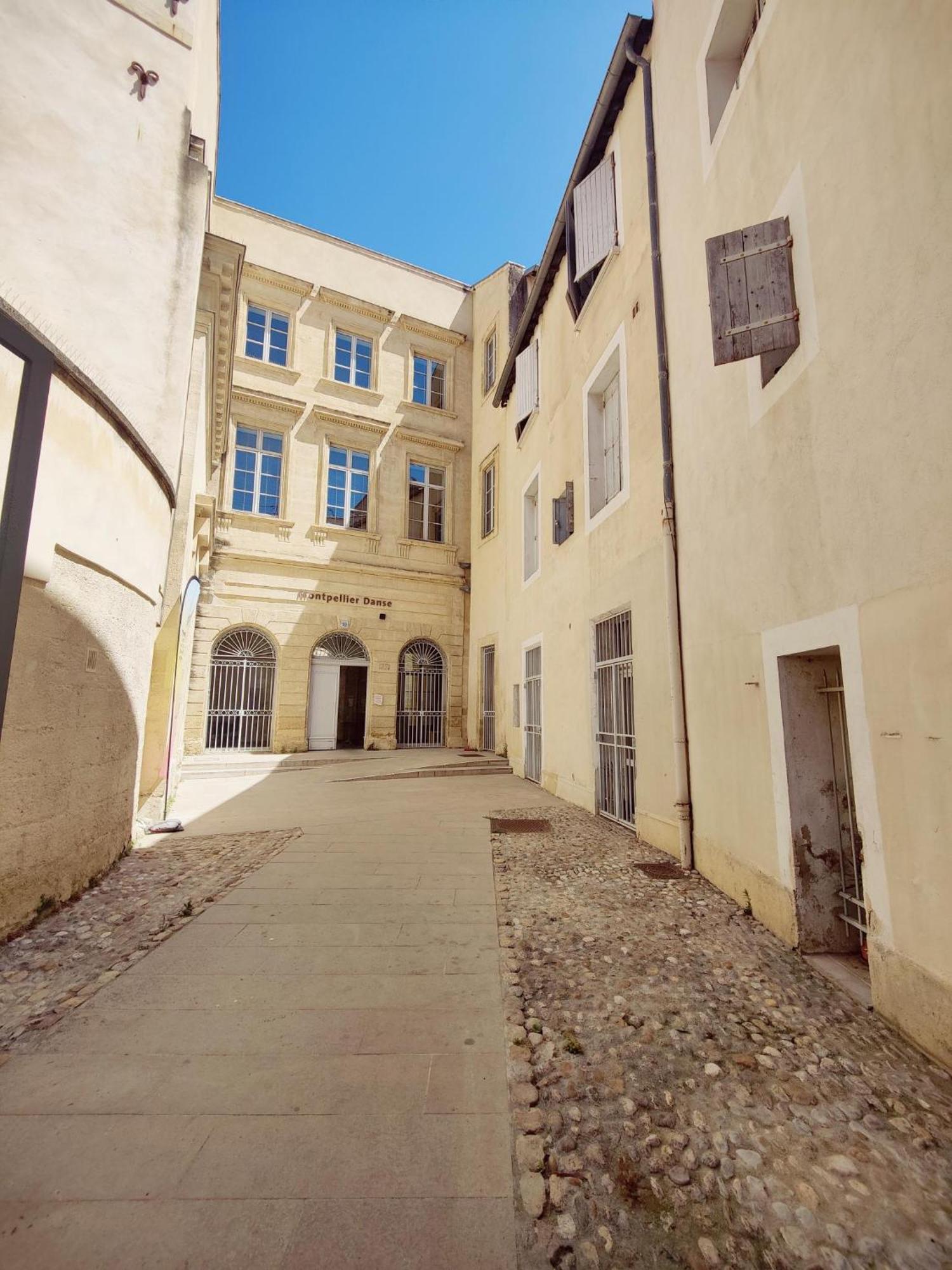 Entier - Le Repos Des Danseurs Apartment Montpellier